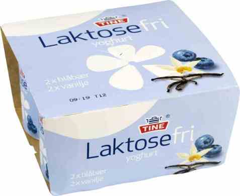 Bilde av Tine yoghurt laktosefri blåbær vanilje.