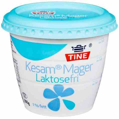 Bilde av Tine Kesam Mager laktosefri.