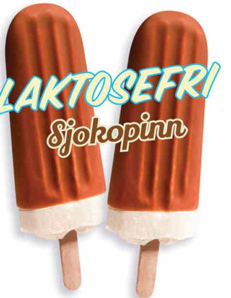 Bilde av Isbilen Laktosefri Sjokopinn.
