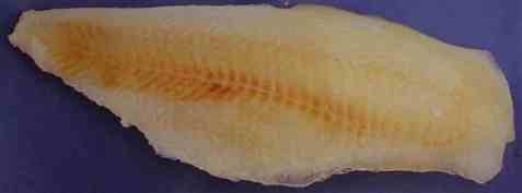 Bilde av Møremat lutefiskfilet torsk uten skinn og bein.