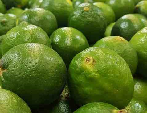 Bilde av Lime skall. Bilde av Lime skall.
