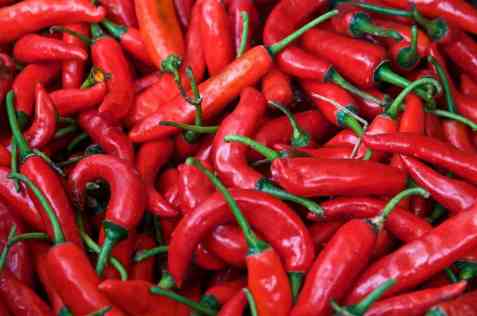 Bilde av Chilipepper. Bilde av Chilipepper.