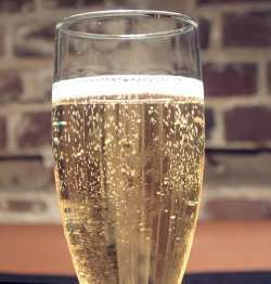 Prøv også Champagne Charlie.