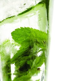 Prøv også Hendrick’s mint Collins.