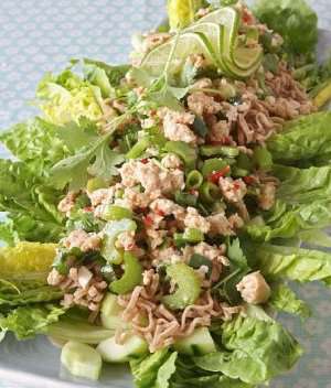 Prøv også Hot kyllingkjøttdeig i salat med lime og koriander.