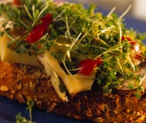 Prøv også Blings med kyllingsalat ny.