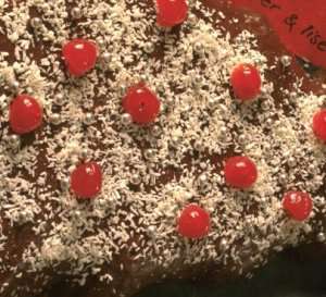 Prøv også Appelsinsjokoladekake til jul.