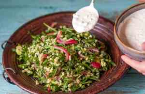 Prøv også Byggrynsalat med cottage cheese-dressing.