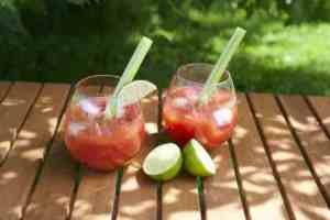 Prøv også Bloody Mary mocktail.