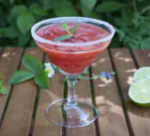 Prøv også Jordbær daquiri mocktail.