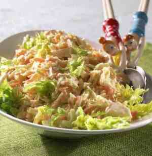 Prøv også Coleslaw med eple.