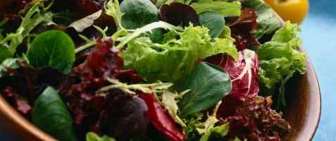 Mesclum salat oppskrift.