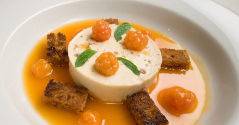 Multesuppe med tjukkmjølkspudding og søte krydderbrød krutonger oppskrift.
