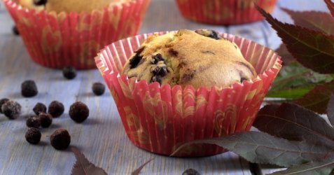 Blåbærmuffins 8 oppskrift.