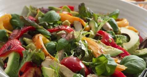 Avocadosalat med kyllingbryst oppskrift.