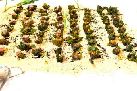 Flower Sprout med Iberisk pancetta oppskrift.