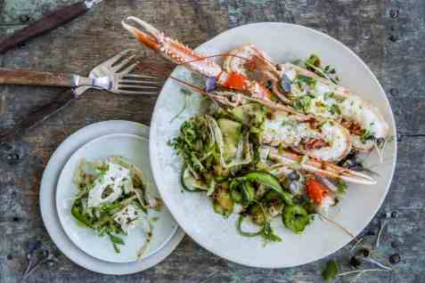 Sjøkreps med agurk- og fennikelsalat oppskrift.